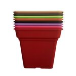 ΣΕΤ ΓΛΑΣΤΡΑ DAIQUIRI ΤΕΤΡΑΓΩΝΗ-ΠΙΑΤΟ