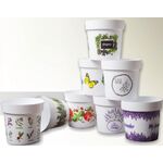 ΚΑΣΠΩ ΜΕ ΣΧΕΔΙΑ