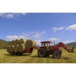 ΔΙΧΤΥ ΧΟΡΤΟΔΕΣΙΑΣ