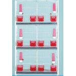 ΖΕΥΓΑΡΩΣΤΡΑ ΓΙΓΑΣ ΛΕΥΚΟ, 607