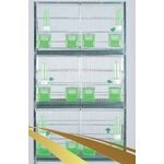 ΖΕΥΓΑΡΩΣΤΡΑ ΓΙΓΑΣ ΛΕΥΚΟ, 609