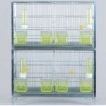 ΖΕΥΓΑΡΩΣΤΡΑ ΓΙΓΑΣ ΛΕΥΚΟ, 610