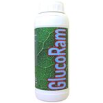 GLUCORAM Bio
