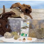 ΠΕΤΡΑ ΑΣΒ. ΧΕΛΩΝ. CALCIUM TARTARRUGH