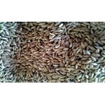 ΑΣΠΟΥΡΙ  ΙΣΠΑΝΙΑΣ