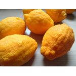 ΠΕΡΓΑΜΟΝΤΟ