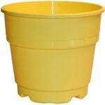 ΓΛΑΣΤΡΑ ΦΥΤΩΡΙΟΥ ΝΕΟ ΣΤΥΛ