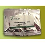 TUTA ABSOLUTA - 500