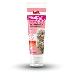 VitaliCat Paste junior
