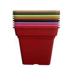 ΣΕΤ ΓΛΑΣΤΡΑ DAIQUIRI ΤΕΤΡΑΓΩΝΗ-ΠΙΑΤΟ