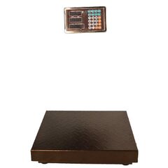 ΖΥΓΑΡΙΑ ΠΛΑΣΤΙΓΚΑ AΣYΡΜΑΤΗ 200kg AMD008-015