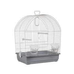 ΚΛΟΥΒΙ PAJARO ΠΤΗΝΩΝ 642Β