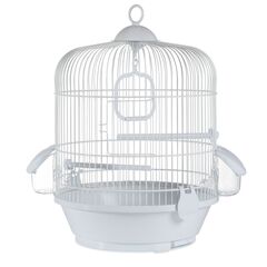 ΚΛΟΥΒΙ PAJARO ΜΙΚΡΩΝ-ΜΕΣΣΑΙΩΝ ΠΑΠΑΓΑΛΩΝ 716Β