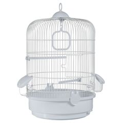 ΚΛΟΥΒΙ PAJARO ΜΙΚΡΩΝ-ΜΕΣΣΑΙΩΝ ΠΑΠΑΓΑΛΩΝ 736Β