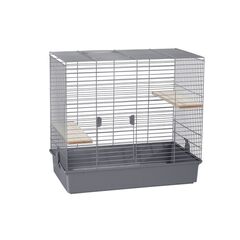 ΜΕΣΣΑΙΟ ΚΛΟΥΒΙ ΓΙΑ CHINCHILLA 270