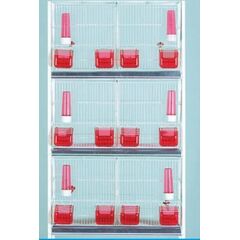 ΖΕΥΓΑΡΩΣΤΡΑ ΓΙΓΑΣ ΛΕΥΚΟ, 607