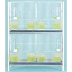 ΖΕΥΓΑΡΩΣΤΡΑ ΓΙΓΑΣ ΛΕΥΚΟ, 608