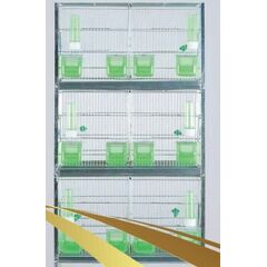 ΖΕΥΓΑΡΩΣΤΡΑ ΓΙΓΑΣ ΛΕΥΚΟ, 609