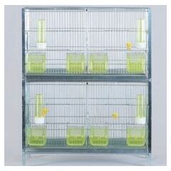 ΖΕΥΓΑΡΩΣΤΡΑ ΓΙΓΑΣ ΛΕΥΚΟ, 610