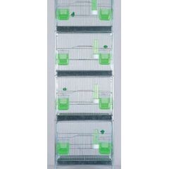 ΖΕΥΓΑΡΩΣΤΡΑ ΓΙΓΑΣ ΛΕΥΚΟ, 611