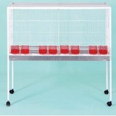 ΚΛΟΥΒΑ ΜΕ ΣΥΡΤΑΡΙ ΛΕΥΚΟ, 600