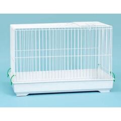 ΚΟΥΝΕΛΟΚΛΟΥΒΟ ΛΕΥΚΟ, 504