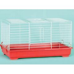 ΚΟΥΝΕΛΟΚΛΟΥΒΟ ΛΕΥΚΟ, 505