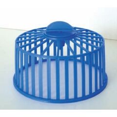 ΡΟΔΑ ΧΑΜΣΤΕΡ