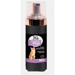 ΑΦΡΟΣ SHAMPOO MOUSSE CAT