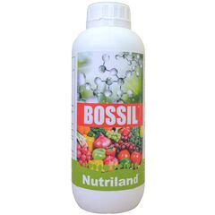 BOSSIL 1L