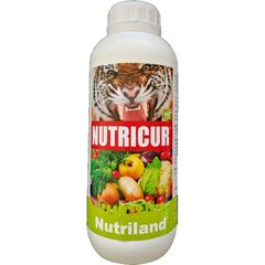 NUTRICUR 1L Bio