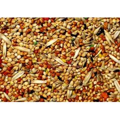 ΜΕΙΓΜΑ ΜΙΚΡΩΝ ΠΑΠΑΓΑΛΩΝ