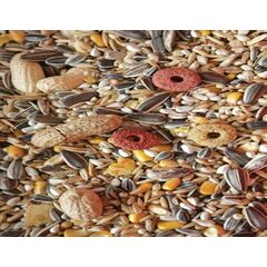 ΤΡΟΦΗ ΜΕΓΑΛΩΝ ΠΑΠΑΓΑΛΩΝ ΟΛΛΑΝΔΙΑΣ