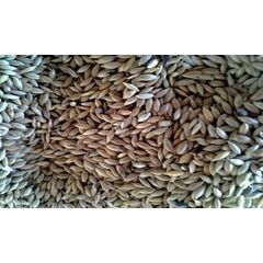 ΑΣΠΟΥΡΙ  ΙΣΠΑΝΙΑΣ