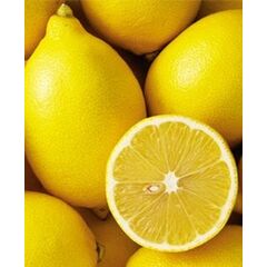 ΑΔΑΜΟΠΟΥΛΟΥ - ΛΕΜΟΝΙΑ ΠΟΛΥΦΟΡΗ