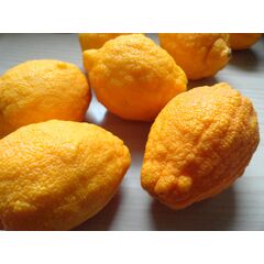 ΠΕΡΓΑΜΟΝΤΟ