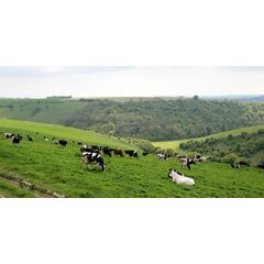 PRATO WINTER EXPRESS