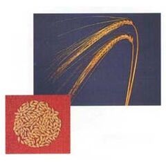 ΚΡΙΘΑΡΙ - ΘΕΣΣΑΛΟΝΙΚΗ