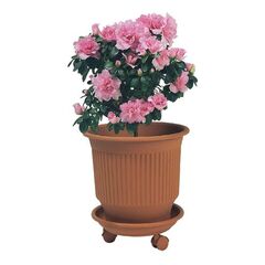 ΠΛΑΣΤΙΚΗ ΓΛΑΣΤΡΑ ΡΙΓΕ