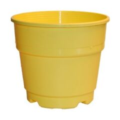 ΓΛΑΣΤΡΑ ΦΥΤΩΡΙΟΥ ΝΕΟ ΣΤΥΛ