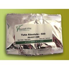 TUTA ABSOLUTA - 500