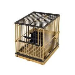 ΚΛΟΥΒΙ GABBIA CARDELLINA FONDO ALTO