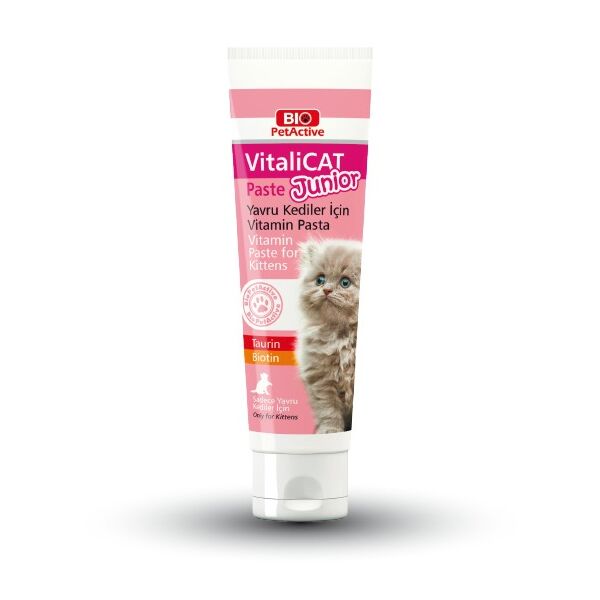 VitaliCat Paste junior
