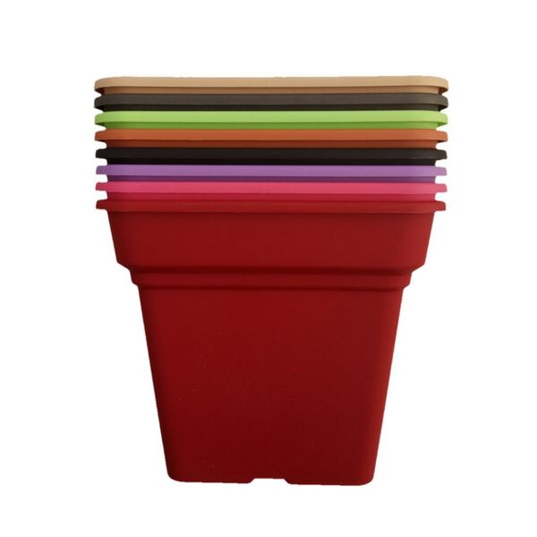 ΣΕΤ ΓΛΑΣΤΡΑ DAIQUIRI ΤΕΤΡΑΓΩΝΗ-ΠΙΑΤΟ