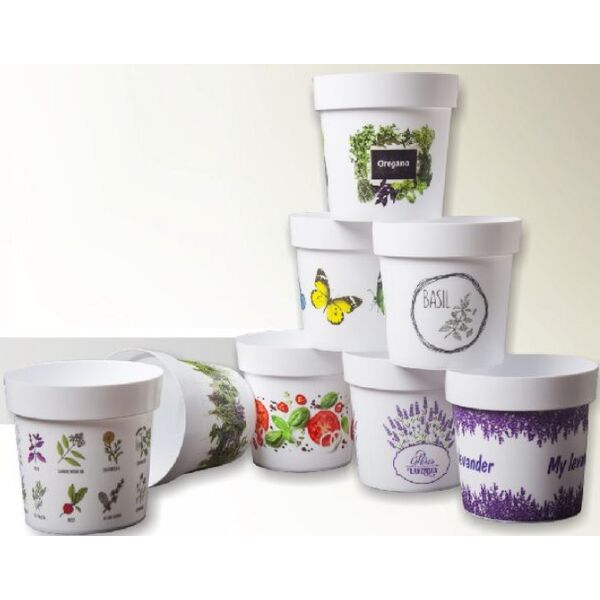 ΚΑΣΠΩ ΜΕ ΣΧΕΔΙΑ