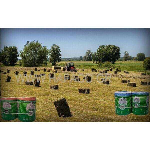 ΣΠΑΓΓΟΣ ΧΟΡΤΟΔΕΣΙΑΣ