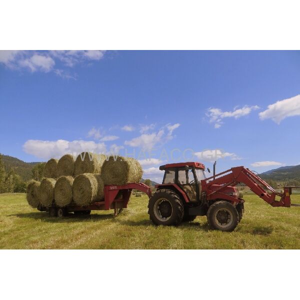 ΔΙΧΤΥ ΧΟΡΤΟΔΕΣΙΑΣ