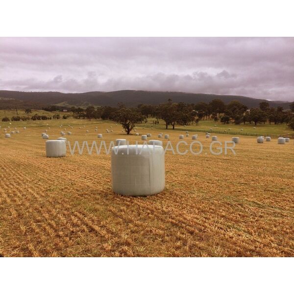 ΦΙΛΜ ΕΝΣΙΡΩΣΗΣ