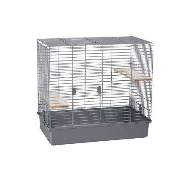 ΜΕΣΣΑΙΟ ΚΛΟΥΒΙ ΓΙΑ CHINCHILLA 270