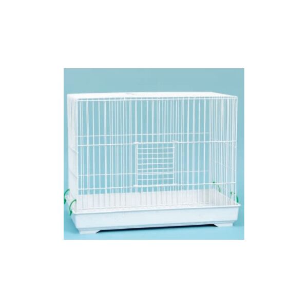 ΜΑΙΝΟΚΛΟΥΒΟ